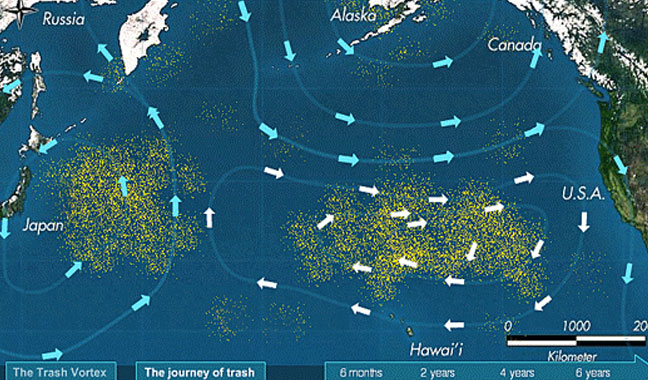 smece-pacifik-karta-100